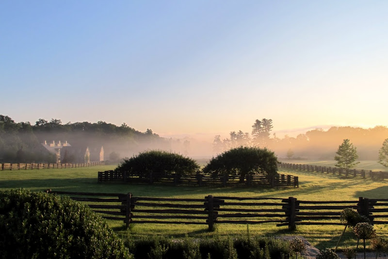 Juniper and York Martha Stewart's Cantitoe Corners Farm
