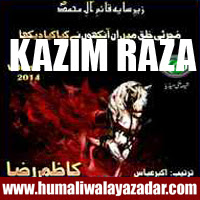 http://ishqehaider.blogspot.com/2013/10/kazim-raza-nohay-2014.html