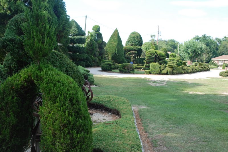 Wife, Mother, Gardener Pearl Fryar Topiary Garden in SC