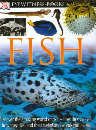 DK Eyewitness Books: Fish by Steve Parker, included in a book review list of ocean books for preschoolers