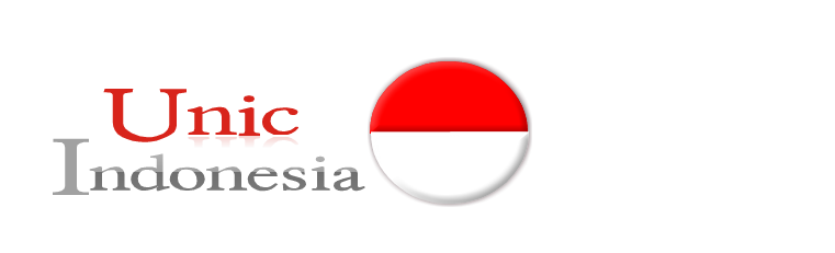 unic indonesia
