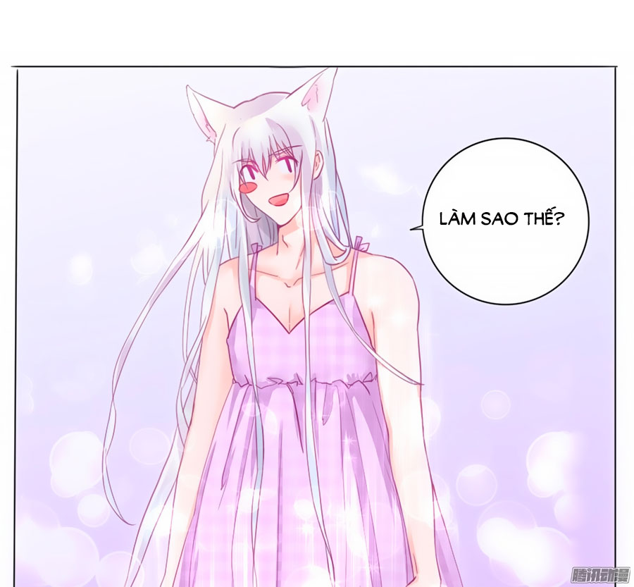 Hello Miêu Tiên Sinh - Chương 2 - Trang 28