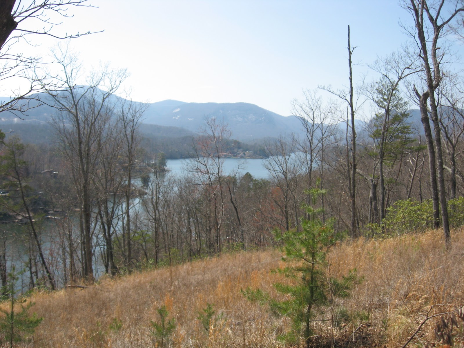 Ridgecrest View NC MountainTop Log Cabin Vacation Rental