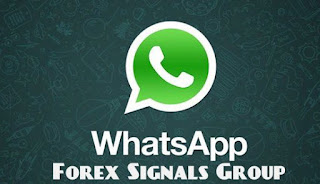 Forex group chat