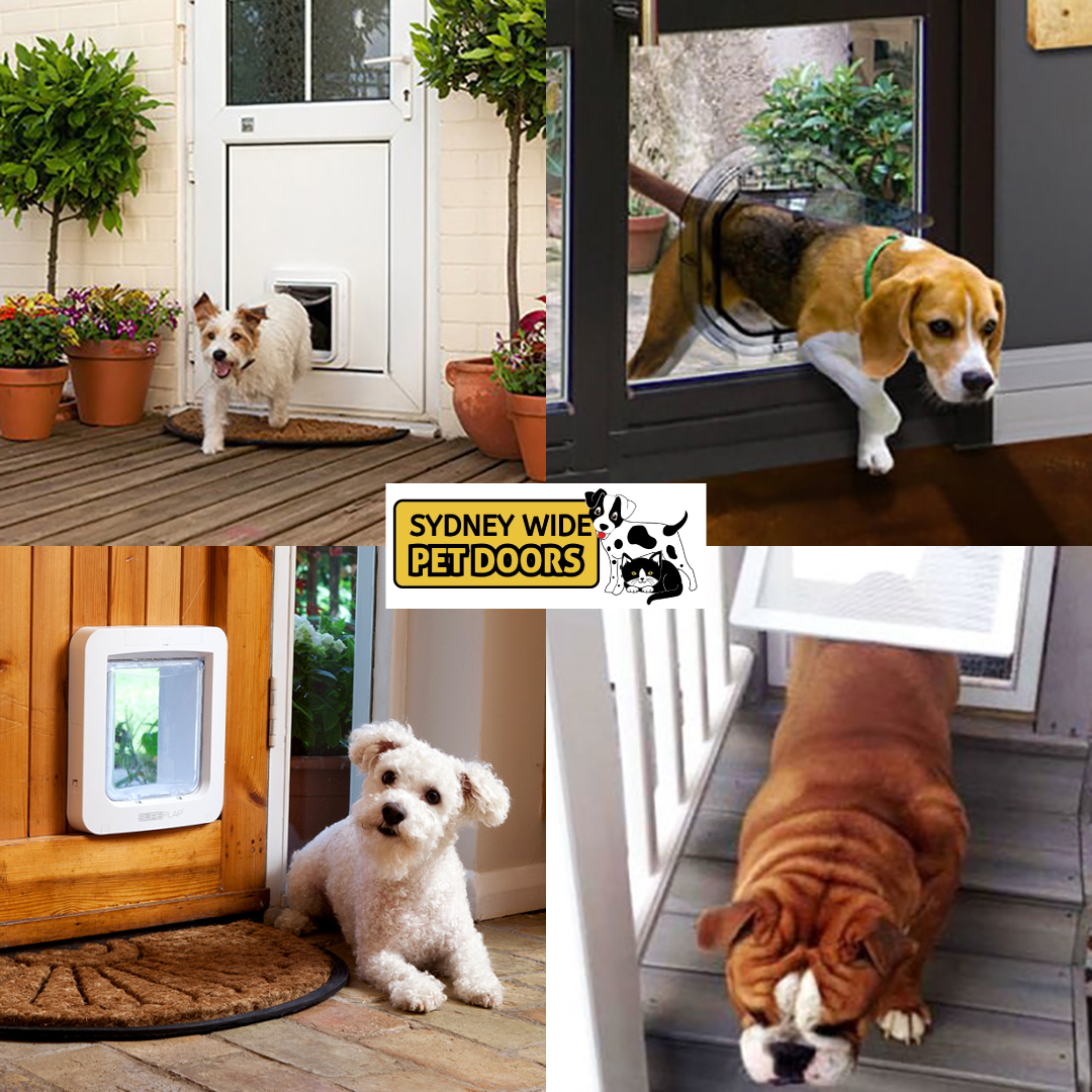 Best 18 Christmas Gifts for Dog Lovers Australian Dog Lover