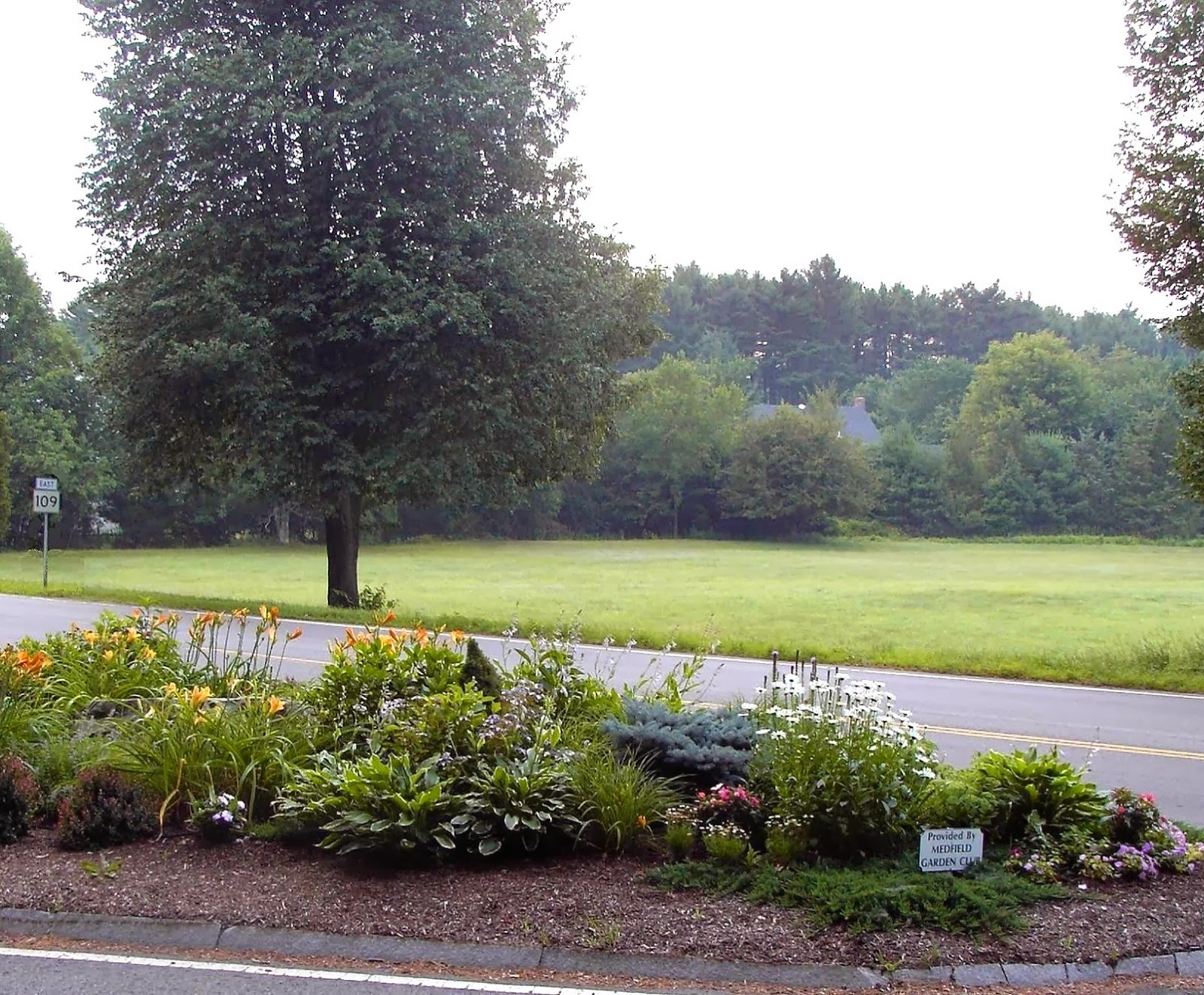 The Principal Undergardener The January Garden Club Meeting