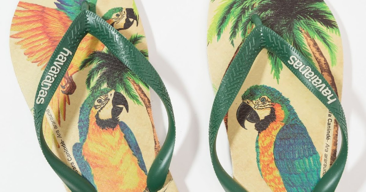 havaianas parrot