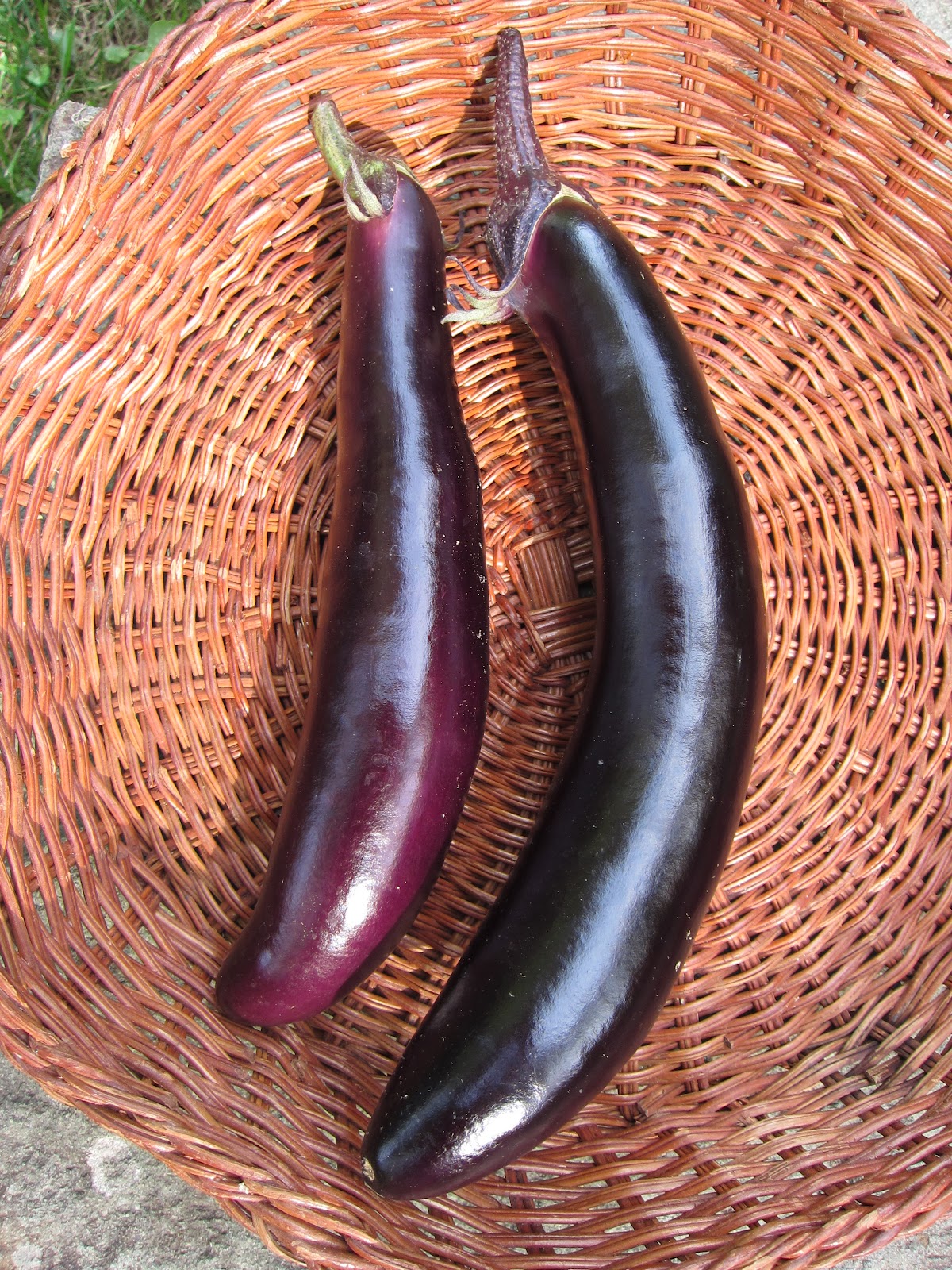 Good Better Nest Cooking with Japanese Eggplant