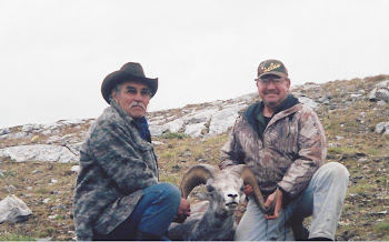 Stone Sheep-British Columbia-2004