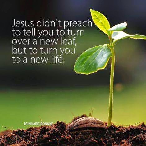 JESUS DIDN'T PREACH TO TELL YOU TO TURN OVER A NEW LEAF, BUT TO TURN ...