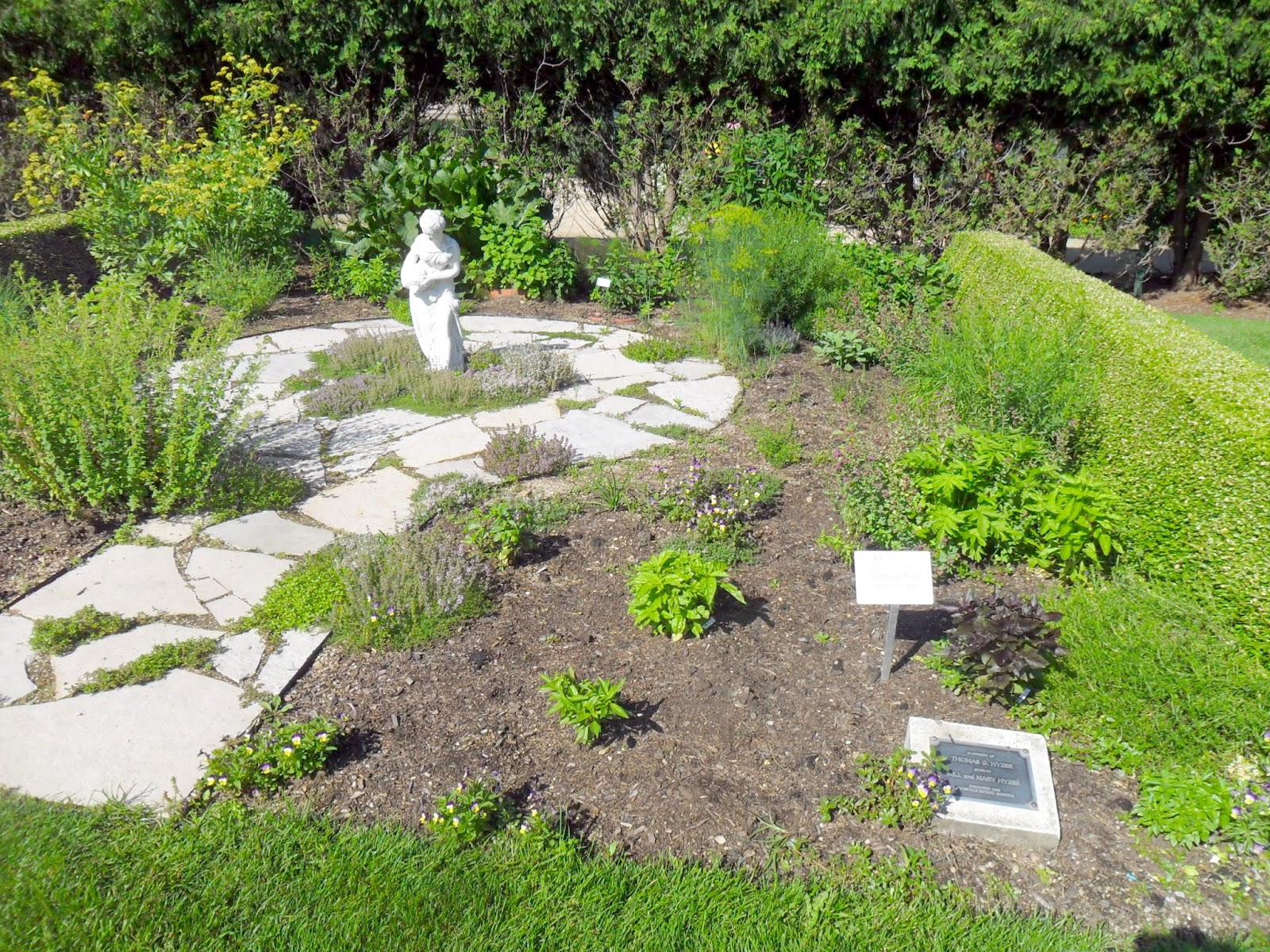 Backyard Patch Herbal Blog Traveling to Janesville, WI and the Rotary