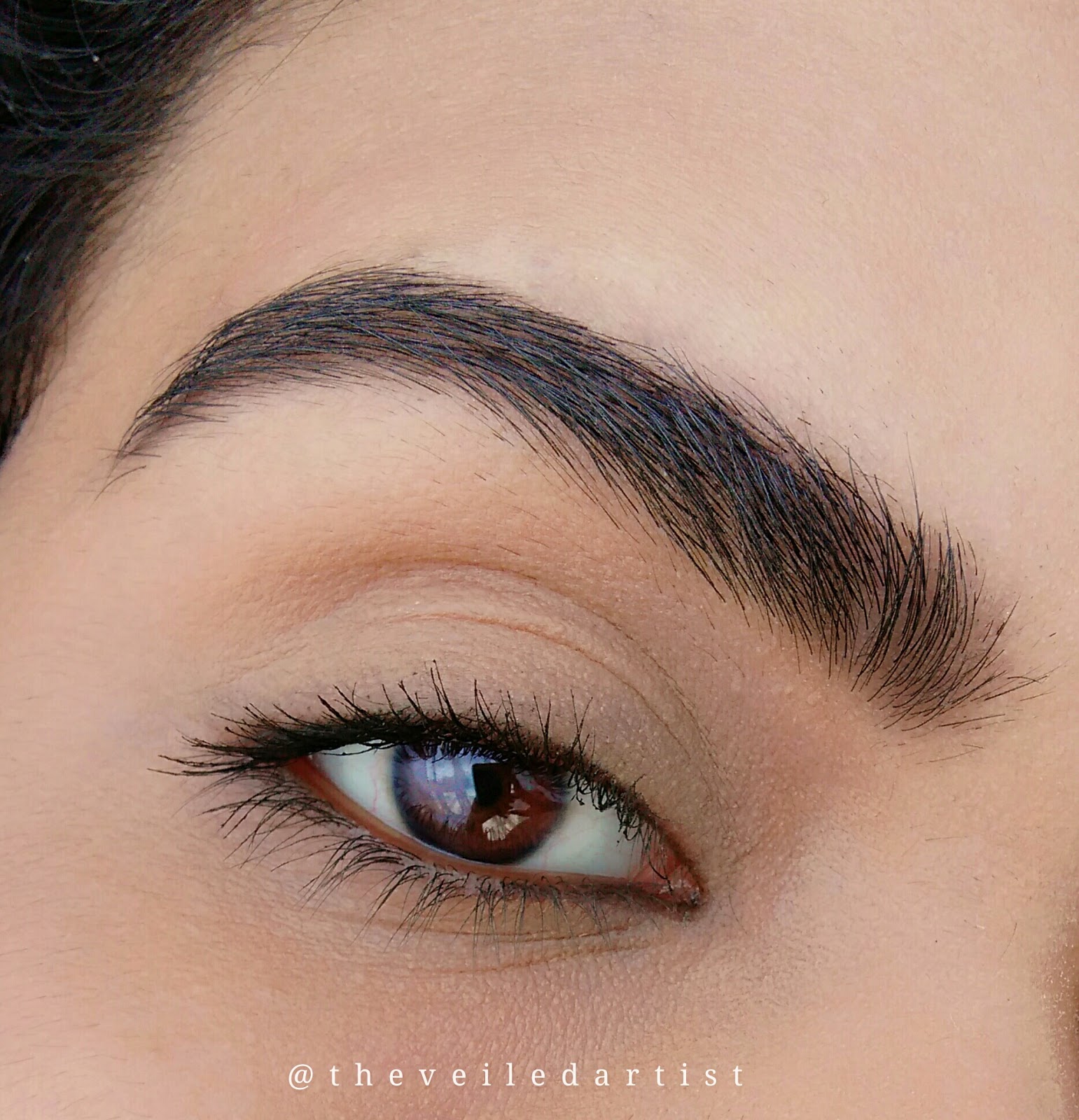 Eyebrow Tutorial (How I do my Eyebrows and Important Tips) The Veiled Eyebrow Tutorial (How I do my Eyebrows and Important Tips) The Veiled