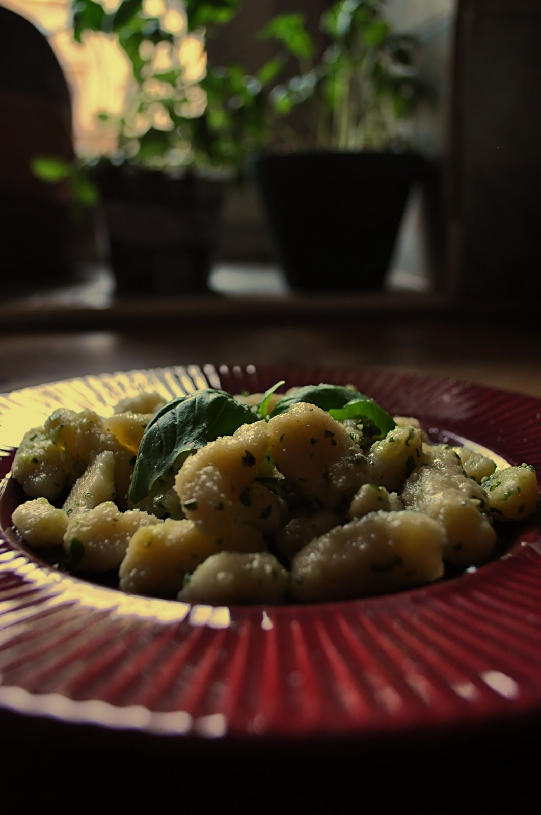 Gnocchi z ricotty z pesto bazyliowym