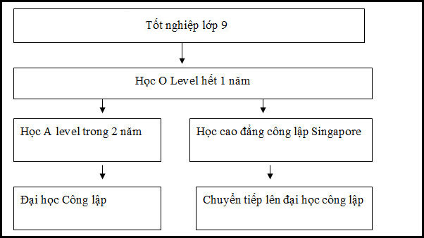 Du học Singapore từ lớp 9, trung tâm tư vấn du học Singapore