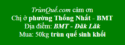 Trùn quế phường Thống Nhất - TPBMT