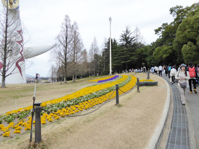 万博記念公園　太陽の広場　桜まつり