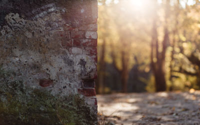 Mur de Briques dans la Forêt - Fond d'Écran en Ultra HD 4k 2160p