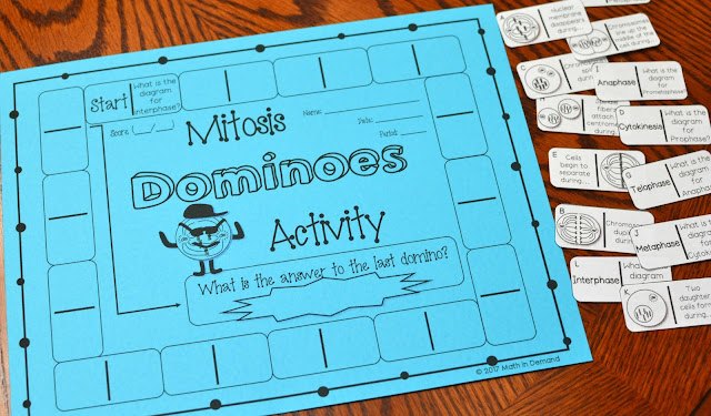 Mitosis Dominoes Activity