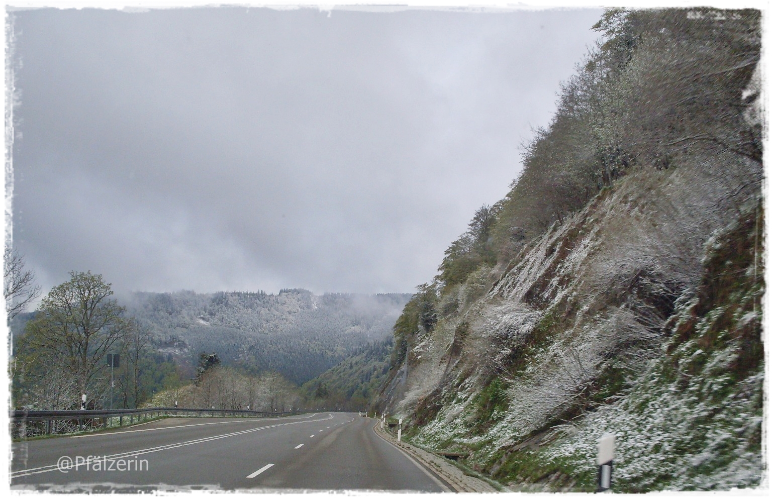 Wieder Zuruck Aus Dem Schwarzwald Stadtlandjob