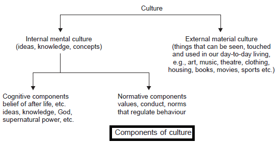 influence of culture on consumer behaviour examples