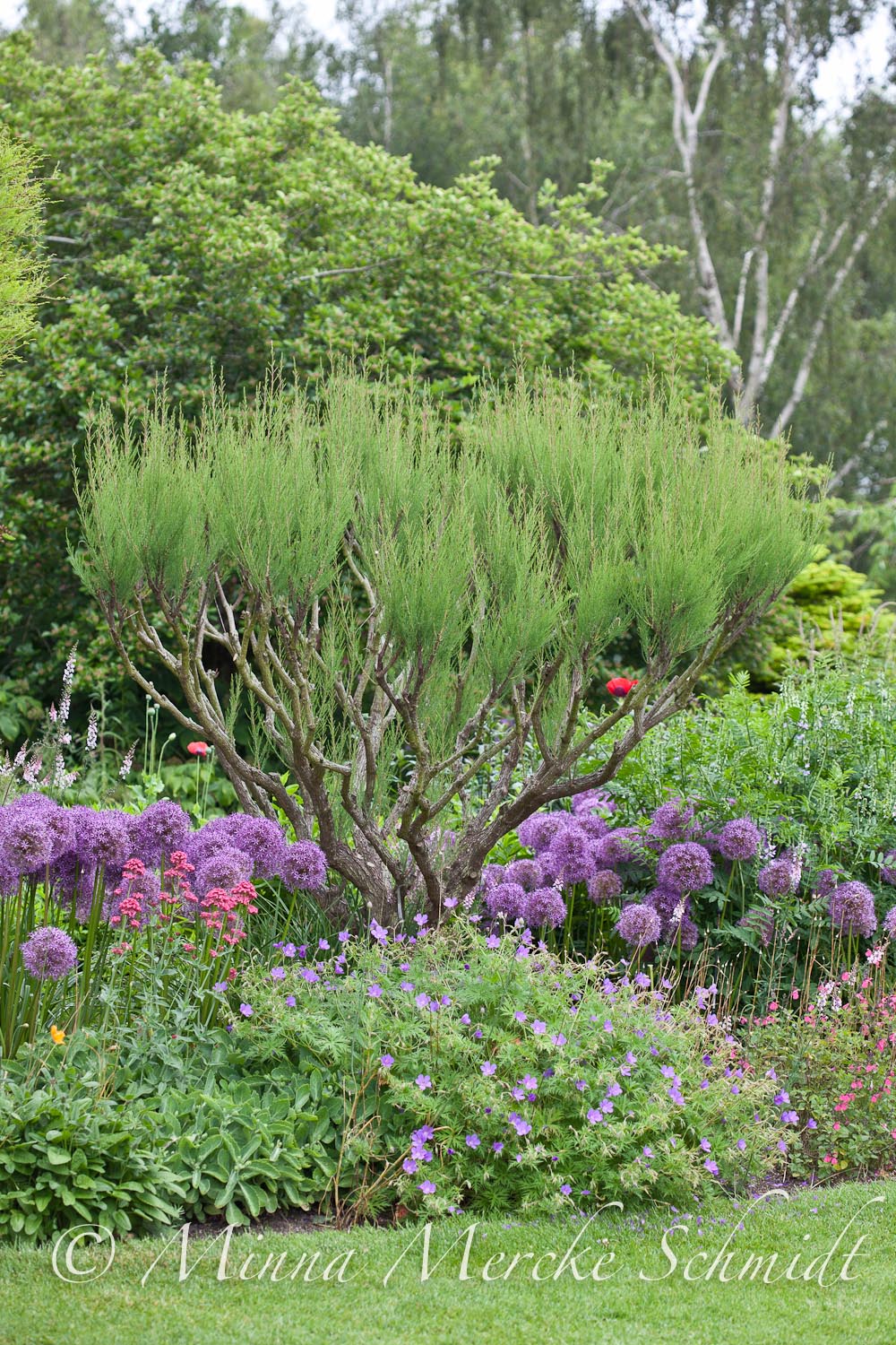 Blomsterverkstad: merriments gardens * pashly manor * sissinghurst