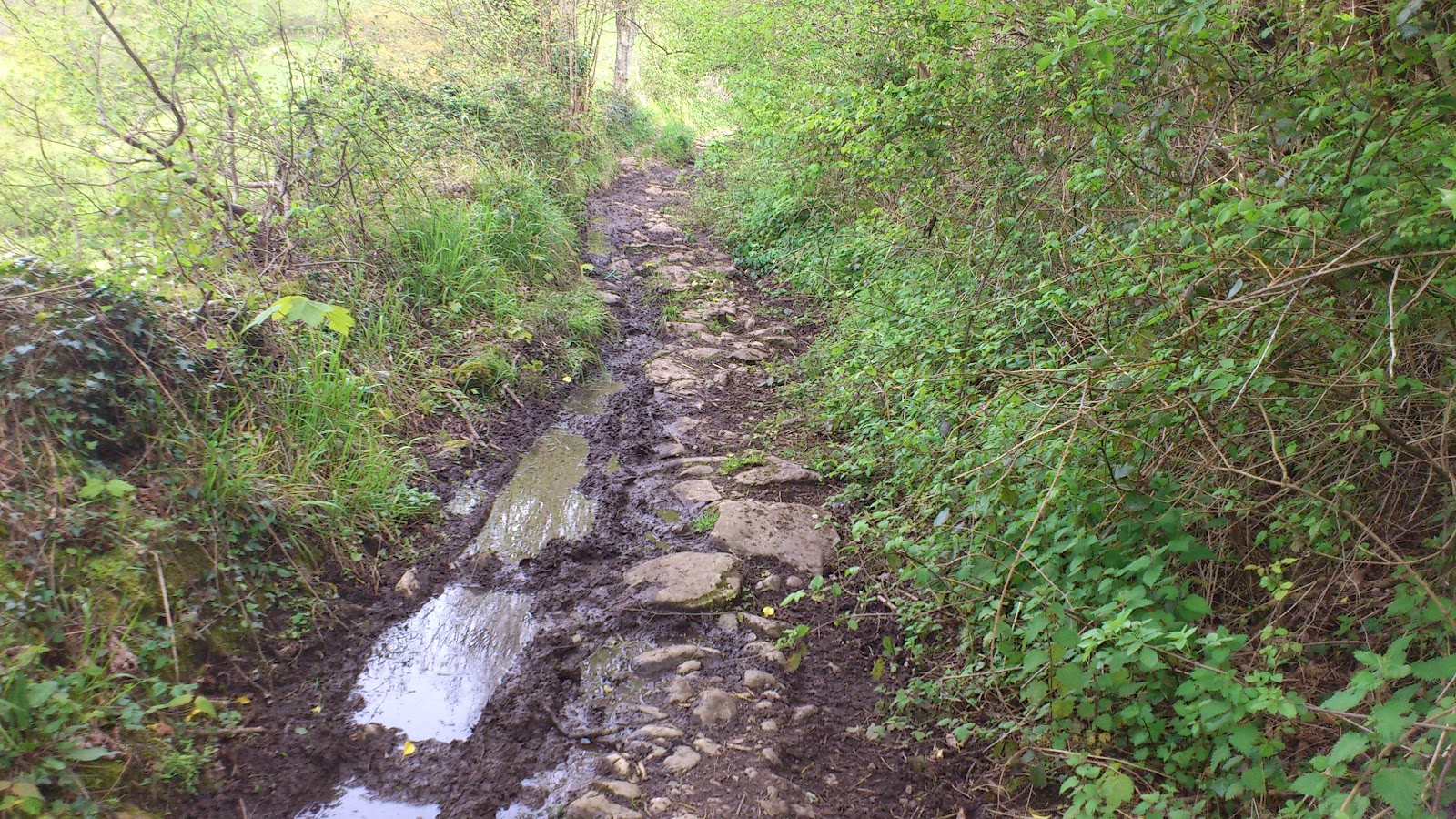 GRUPO MONTAÑERO MOSCON PERLAVIA PERLAVIA