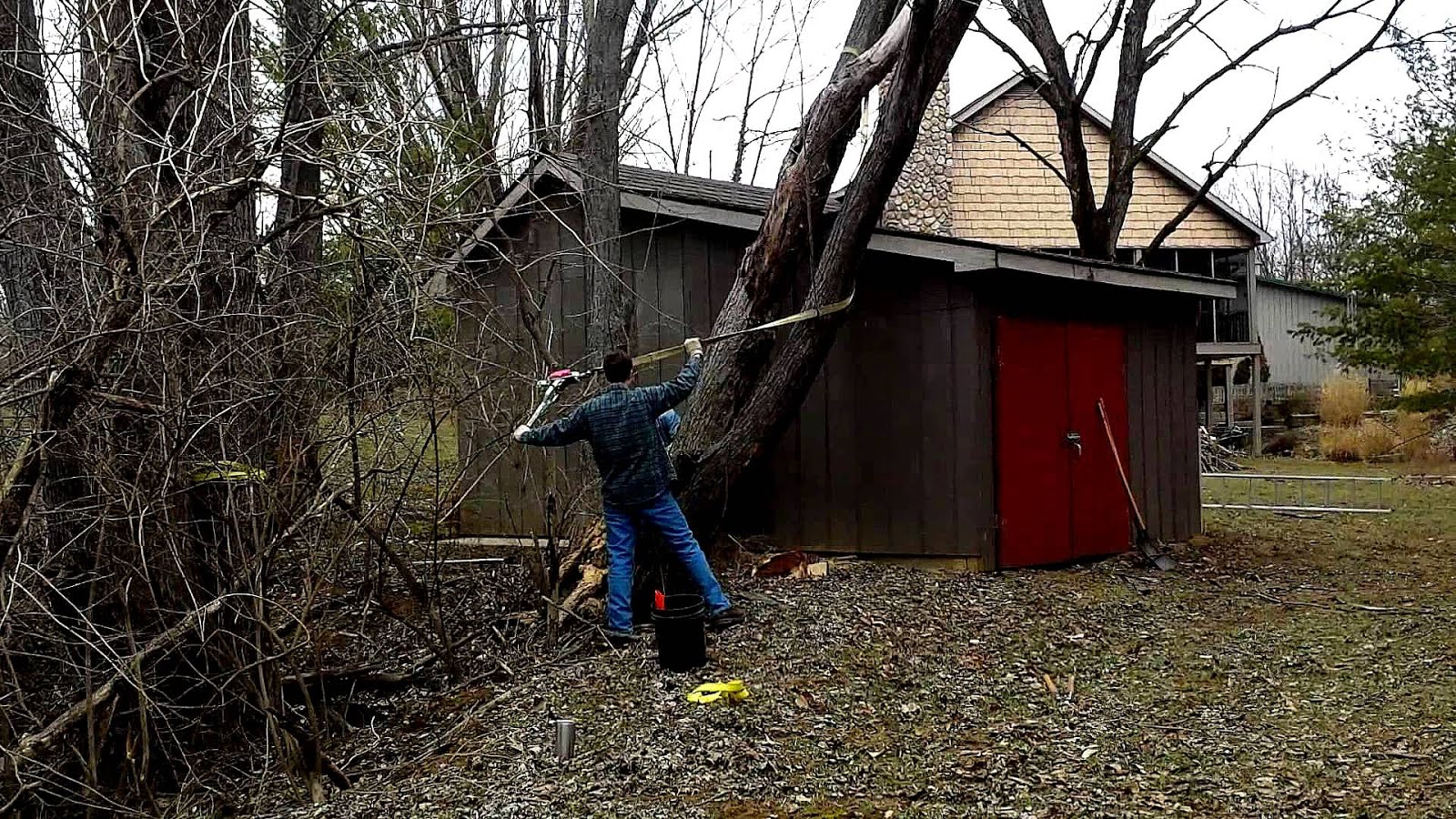 How To Cut Down A Leaning Tree Lean Choices