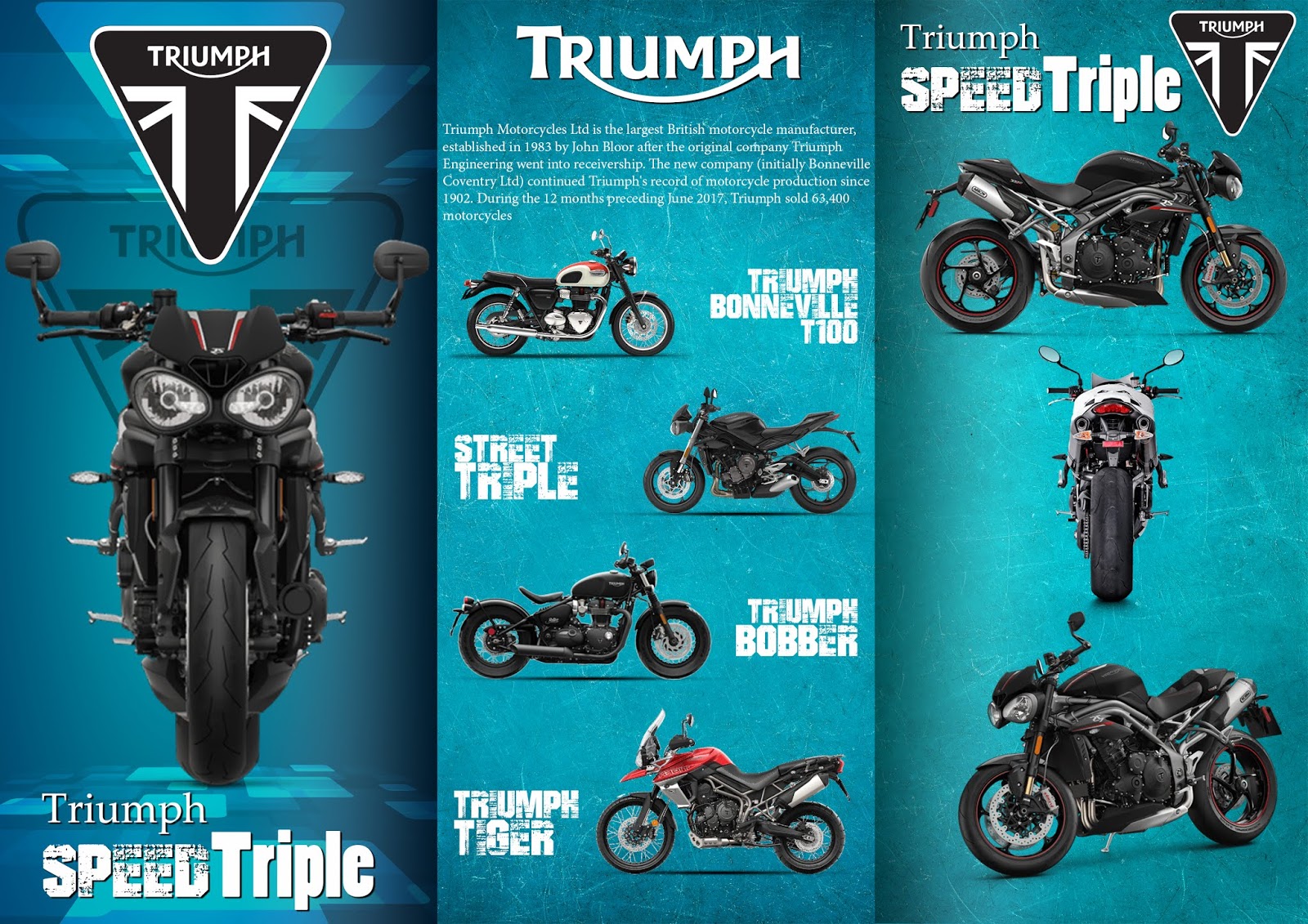Barnik Art Triumph Speed Triple Brochure