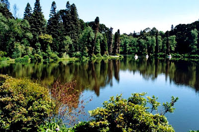 Lago Negro - Gramado