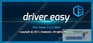 DriverEasy Professional 5.5.3.15599​ latest Version