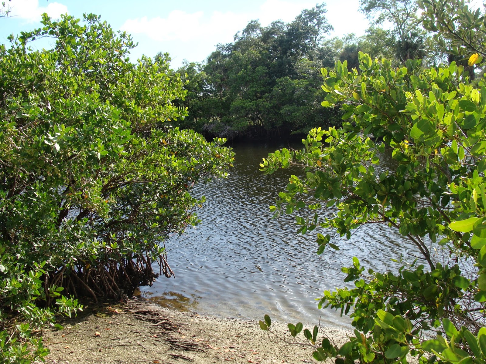 THE SIMMONS SAGA EG Simmons Regional Park, Ruskin, Florida