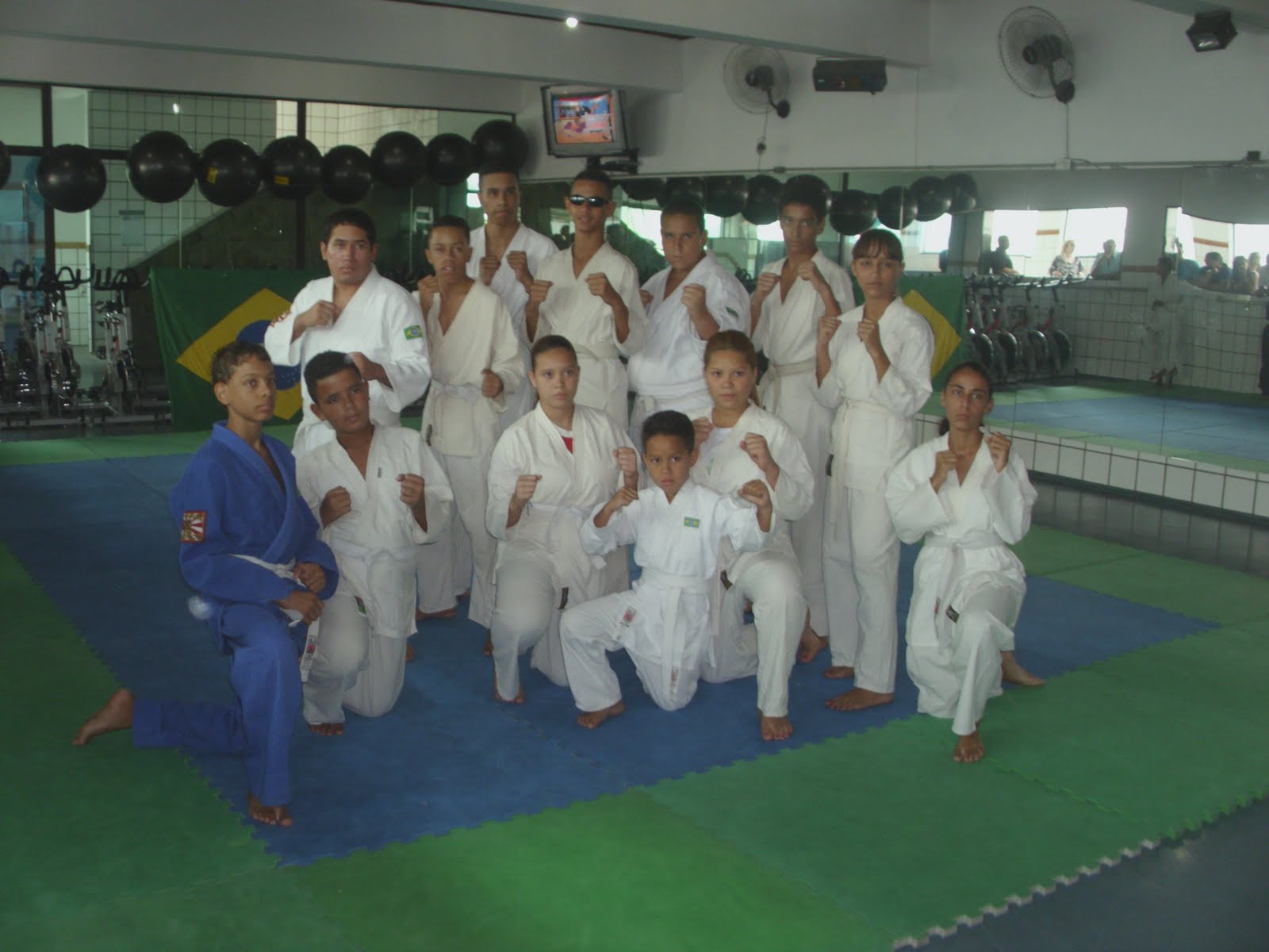 Ju Jitsu Brasiliano Teoria E Tecnica