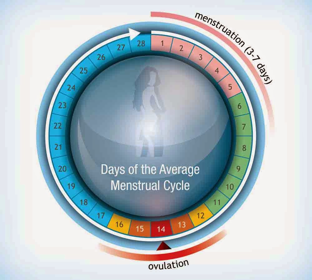 using-a-new-ovulation-calendar-can-increase-your-chances-of