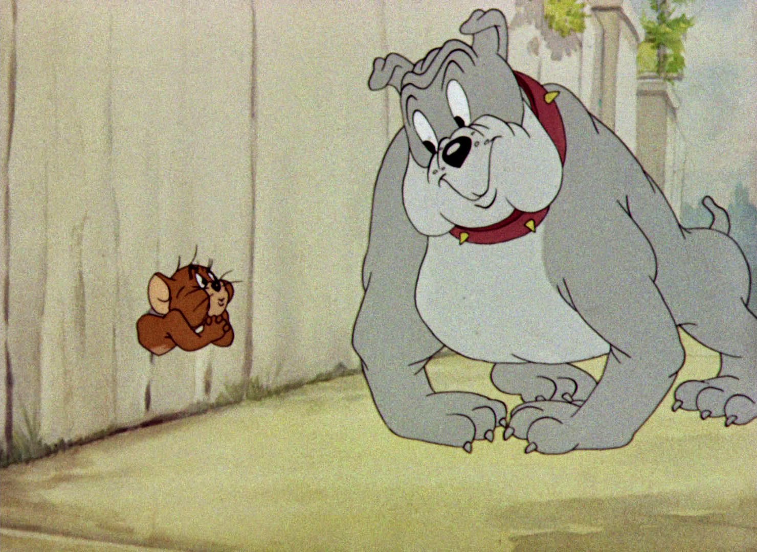 Tom & Jerry - Episodio 15 (El guardaespaldas) - Audio Latino (1944) - El Perro De Tom Y Jerry