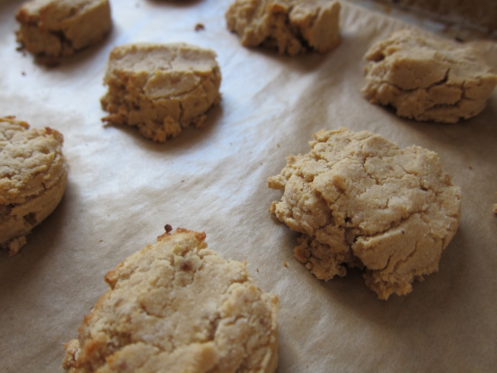 WholeFoodVegan Brown Rice Sugar Cookies