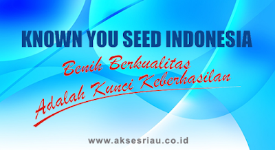 PT Known - You Seed Indonesia Pekanbaru