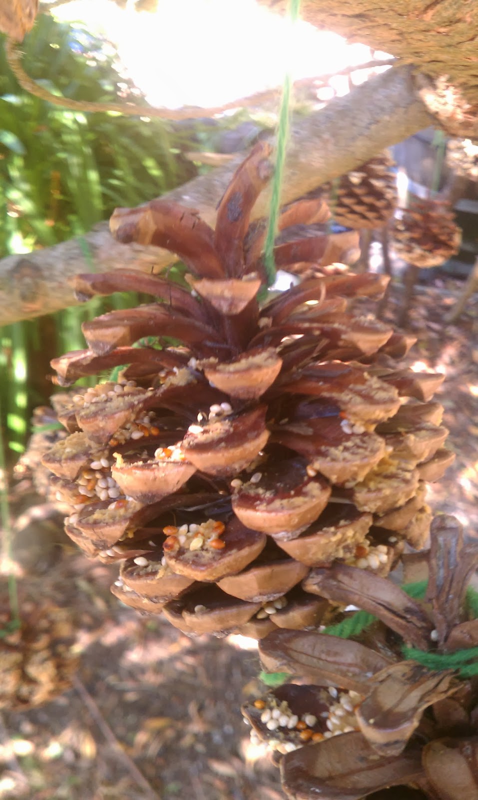 San Francisco Waldorf School Urban Farm and Garden Blog Winter Gifts