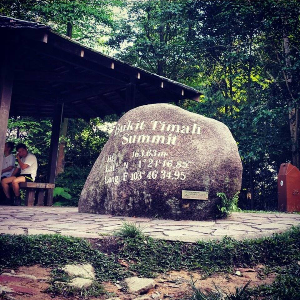 Bukit Timah Nature Reserve: Things To Do in Singapore