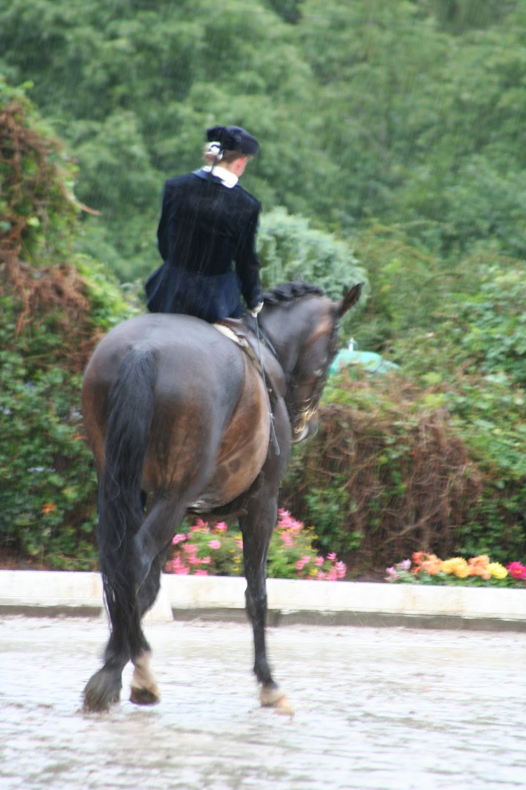 Gedanken zu Reiten im Damensattel, ein Kulturgut