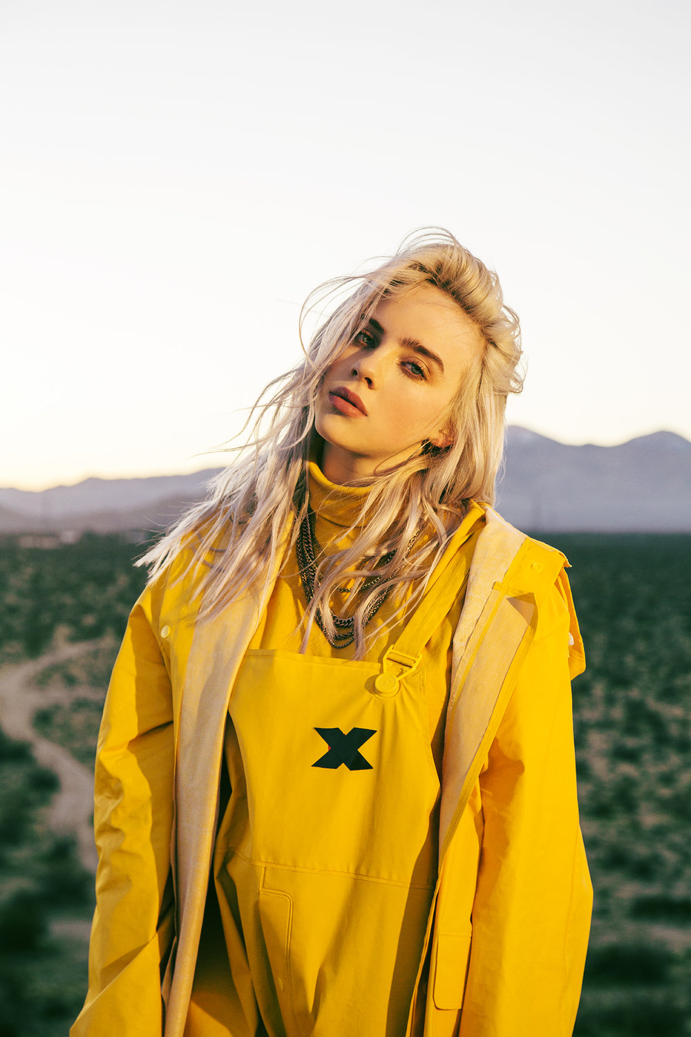 ajko billie elish