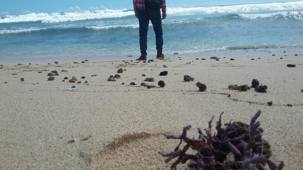 ADHIT'S NOTES: PANTAI PASETRAN GONDO MAYIT, BLITAR