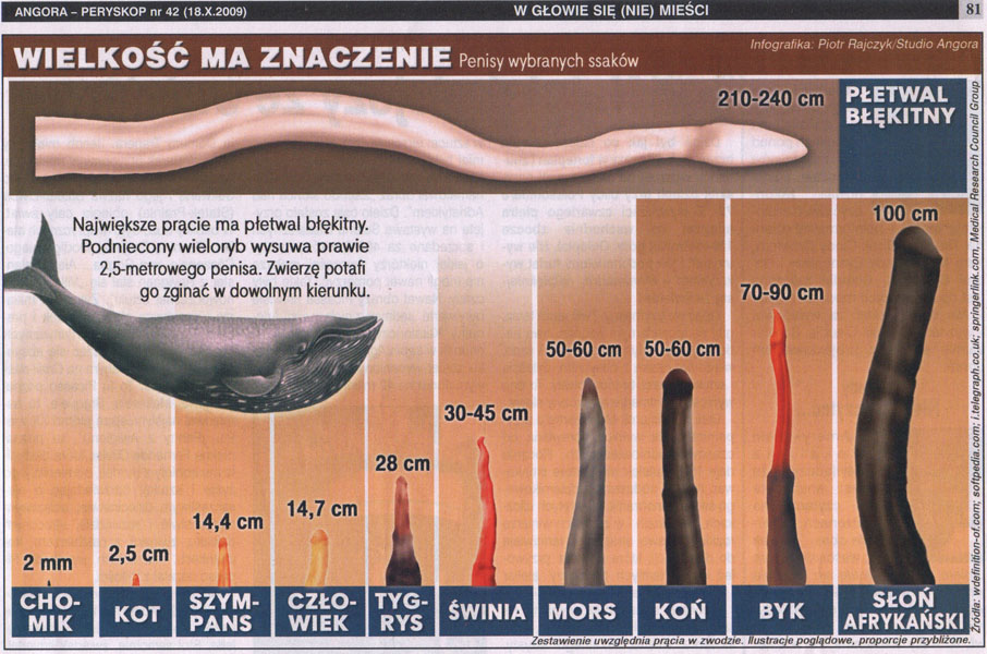 Wielkosc Fizyczna Zwiazana Z Ruchem Cial Wielkość ma znaczenie