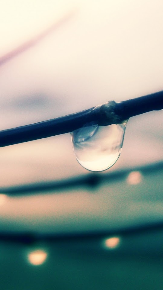 Water Drop Falling Off Branch  Android Best Wallpaper