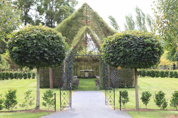 landscape ideas nz Church Made From Trees New Zealand | 600 x 400