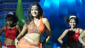 Hot Anushka Thighs ~ Anushka Shetty's Thighs Toned and Hot | Hot Girls of Bollywoods