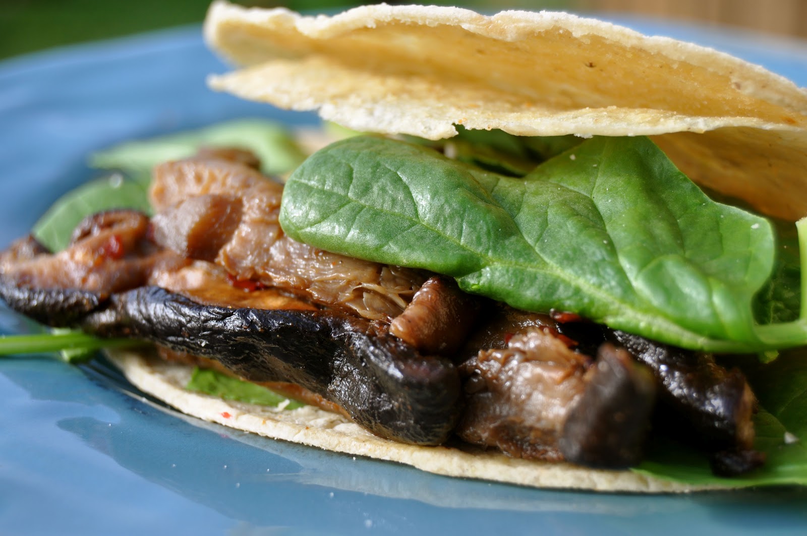 Shiitake Mushroom Tacos The Zero Waste Family®