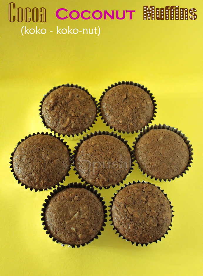 chocolate and coconut muffins