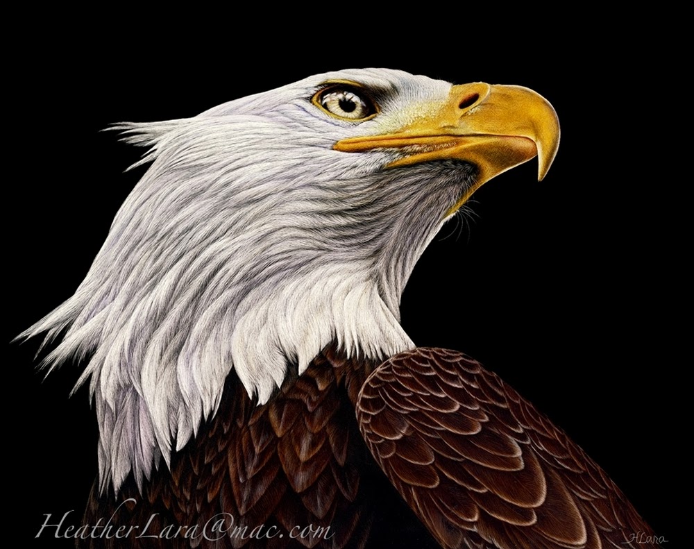 Design Stack A Blog about Art, Design and Architecture Hyper