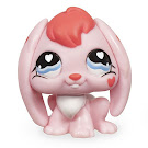 Littlest Pet Shop Multi Pack Rabbit (#557) Pet