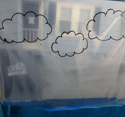 Water vapor condensing on the sides of the bag